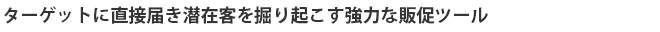 ターゲットに直接届き潜在客を掘り起こす強力な販促ツール